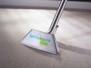 carpet cleaning
