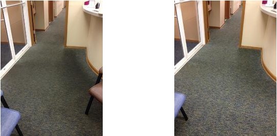 before and after carpet cleaning results