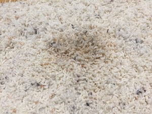carpet stain