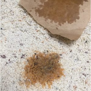 iron-and-brown-bag-method-isnt-effective