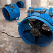 large blue fans